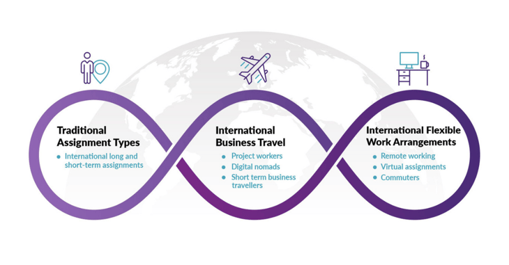 shadow-payroll-infographic